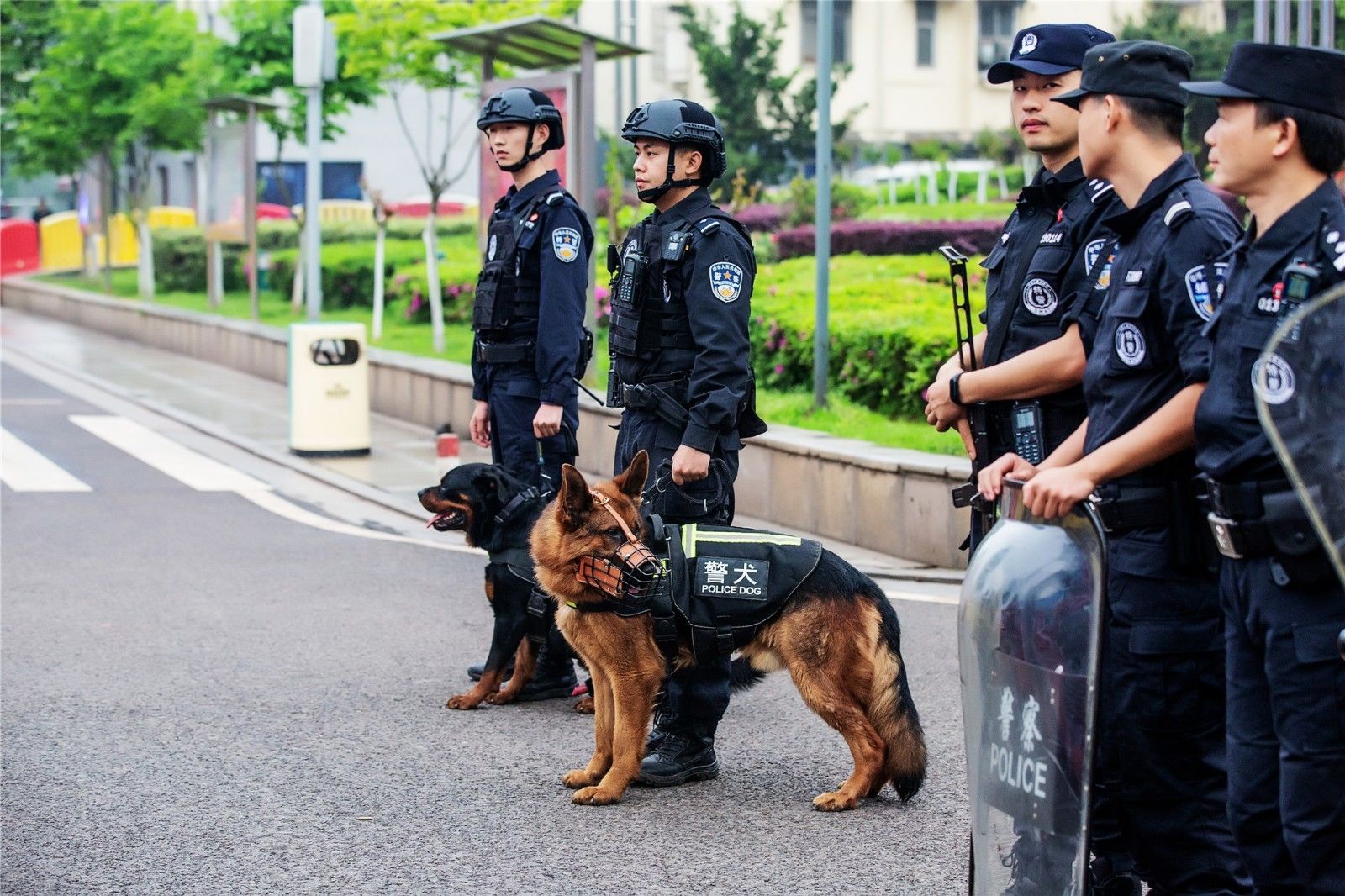 湖南乐鱼leyu体育管理有限公司