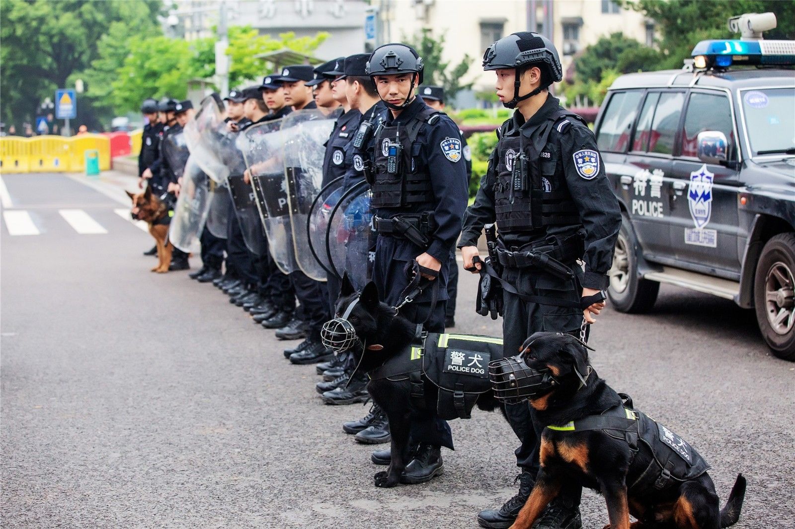 湖南乐鱼leyu体育管理有限公司