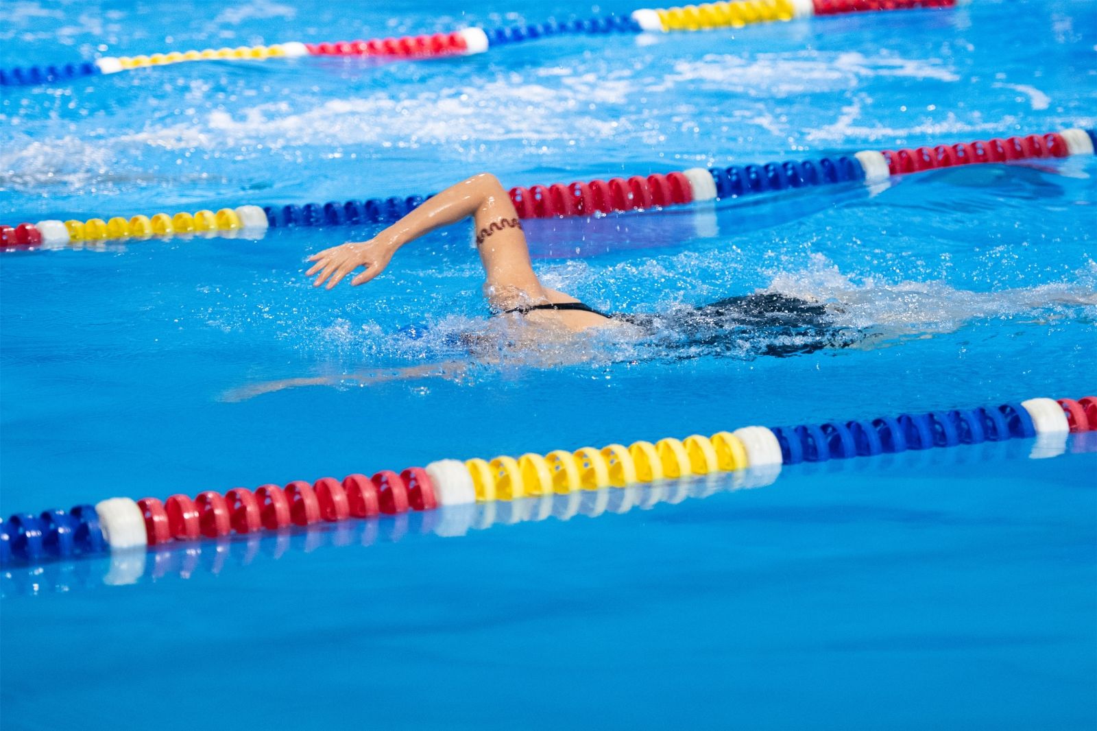 湖南乐鱼leyu体育管理有限公司