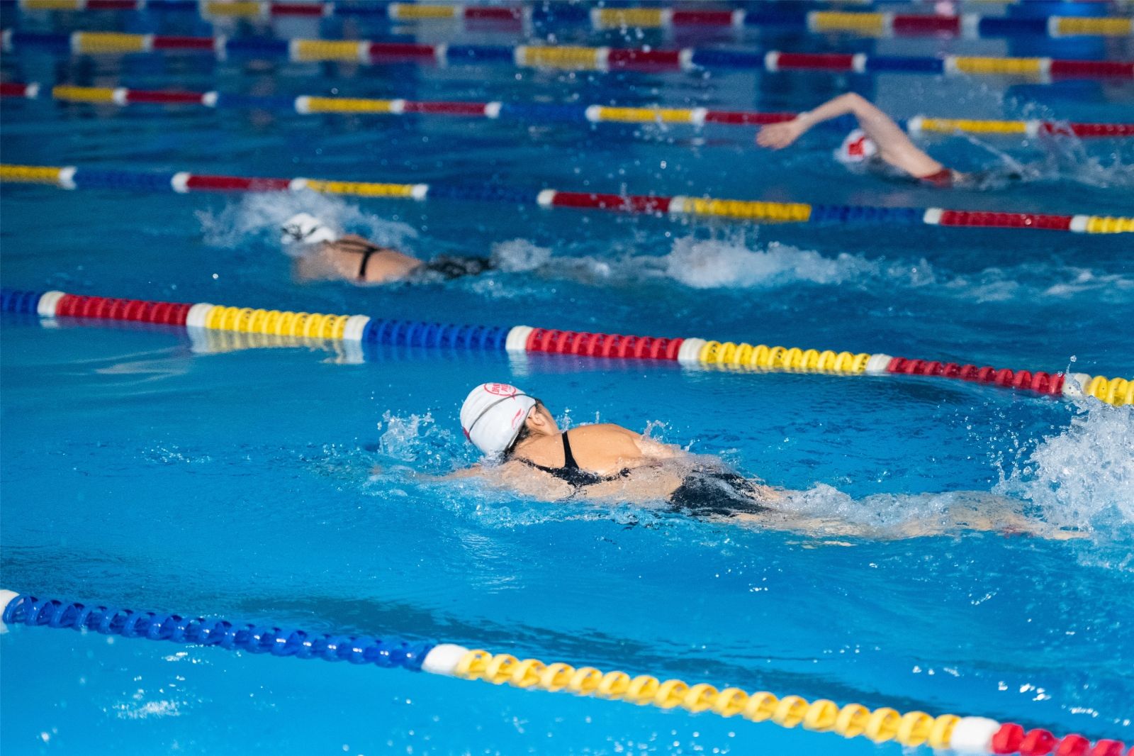 湖南乐鱼leyu体育管理有限公司