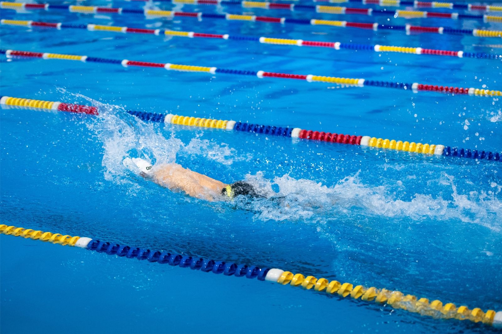 湖南乐鱼leyu体育管理有限公司